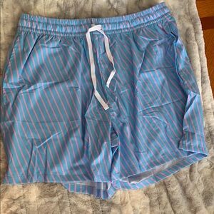 Blue and Pink Striped Swim Shorts
